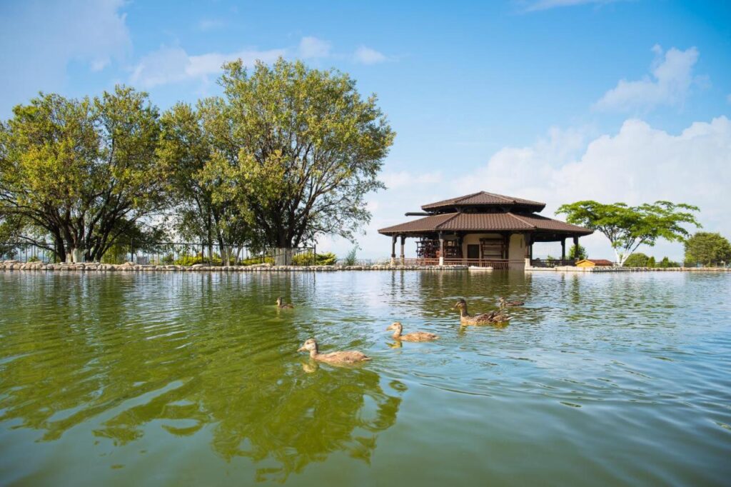 262494643 Park & SPA Hotel Markovo - уникално семейно изживяване в покрайнините на Пловдив